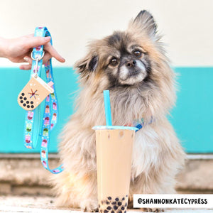 Dog wearing the bobalicious boba tea leash set with a hand holding the leash and a boba tea.