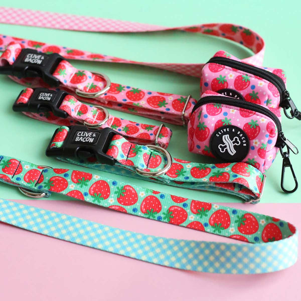 Berry Cute Dog Leash - Clive and Bacon