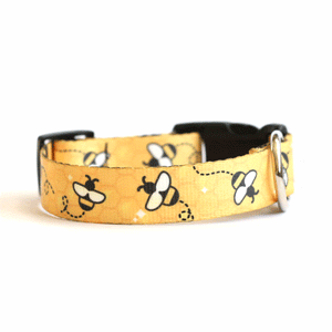 Bumblebee Dog Collar - Clive and Bacon