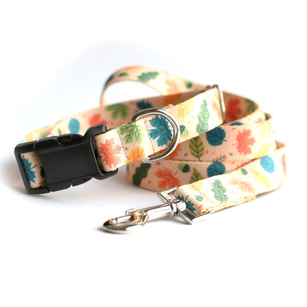 Fall Leaves Dog Collar - Clive and Bacon