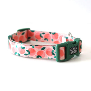 Just Peachy Dog Collar - Clive and Bacon