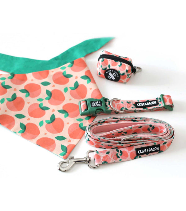 Just Peachy Padded Dog Leash - Clive and Bacon