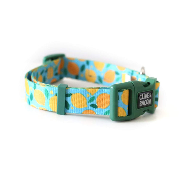 Lemon Squeeze Dog Collar - Clive and Bacon