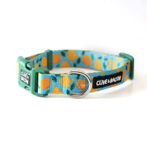 Lemon Squeeze Dog Collar - Clive and Bacon