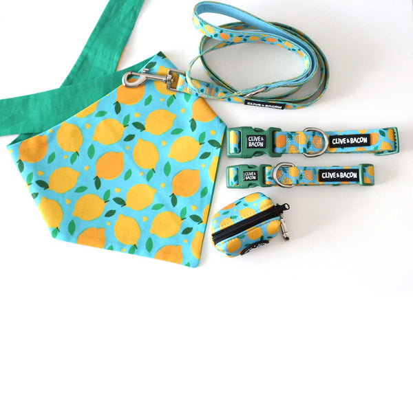 Lemon Squeeze Padded Dog Leash - Clive and Bacon