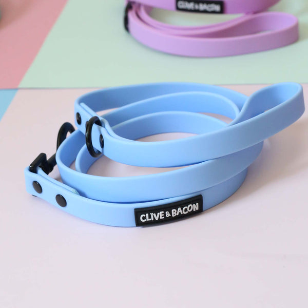 Periwinkle Waterproof Dog Leash - Clive and Bacon