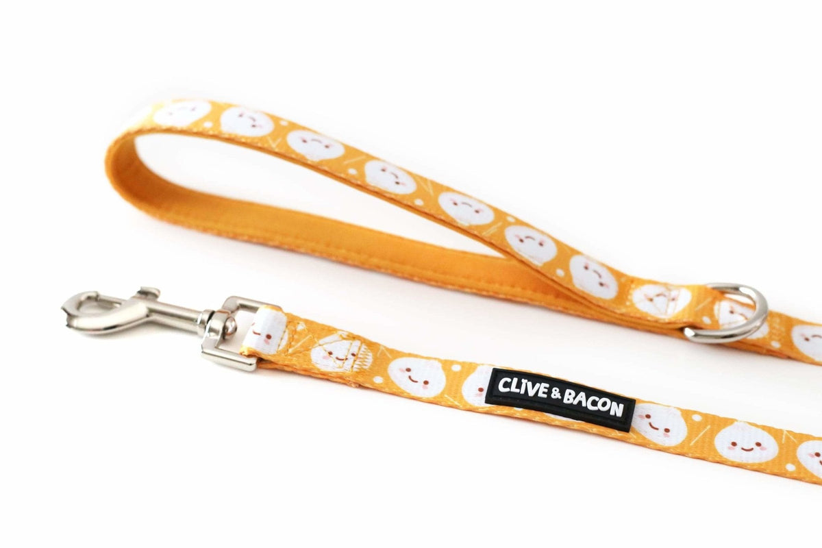 bulk leashes