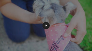 An Awesome New Clive & Bacon Video - Clive and Bacon