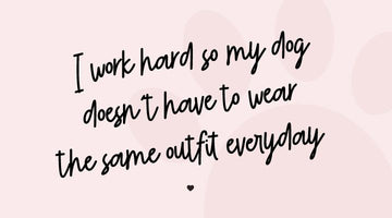 Favorite Quotes - Clive and Bacon