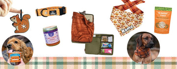 Pawsitively Pumpkin Spice: Our Fall Favs for Your Pup! - Clive and Bacon