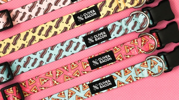 Assorted dog collars by Clive and Bacon