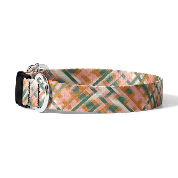 Harvest Dog Collar