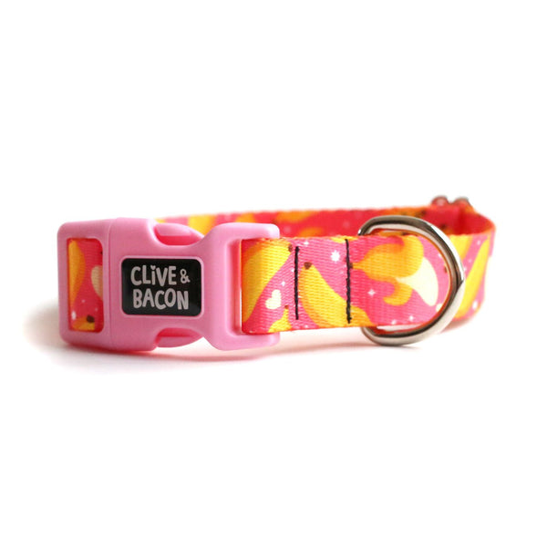 Thin & Sleek Fi Compatible Dog Collar - Clive and Bacon