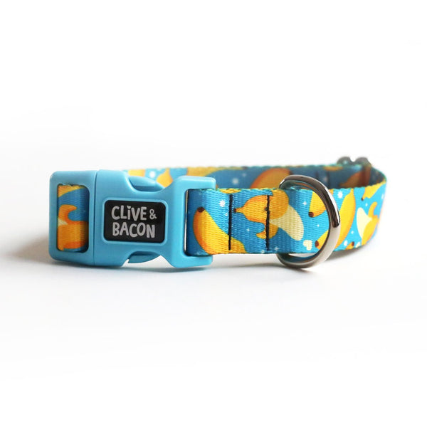 Thin & Sleek Fi Compatible Dog Collar - Clive and Bacon