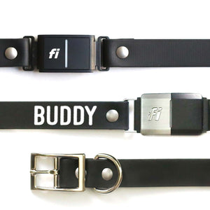 1" Waterproof Fi Compatible Dog Collar - Clive and Bacon
