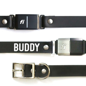 1" Waterproof Fi Compatible Dog Collar - Clive and Bacon
