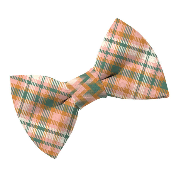 Acorn Plaid Bow Tie - Clive and Bacon