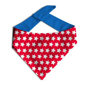 All Star Pup Dog Bandana - Clive and Bacon