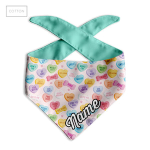 Aqua Conversation Heart Dog Bandana - Clive and Bacon