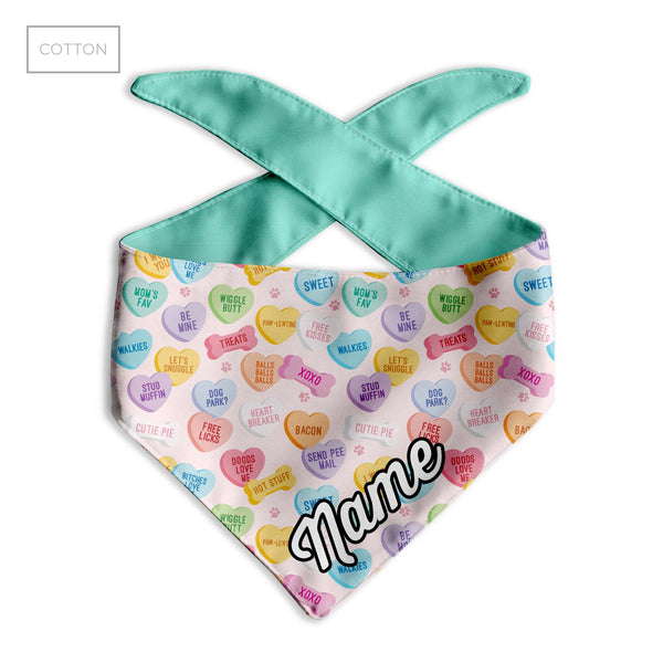 Aqua Conversation Heart Dog Bandana - Clive and Bacon
