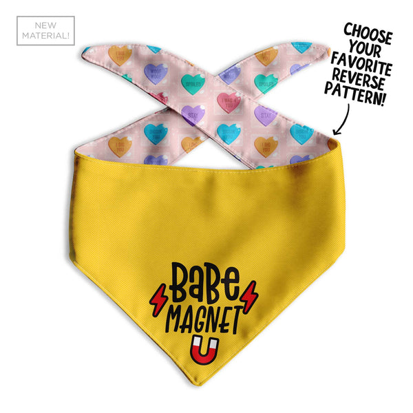 Babe Magnet Dog Bandana - Clive and Bacon