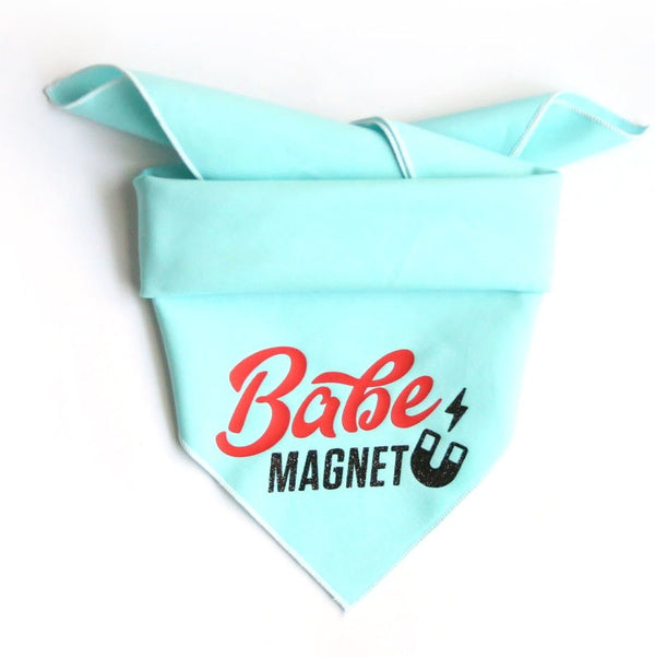 Babe Magnet Dog Bandana Square - Clive and Bacon