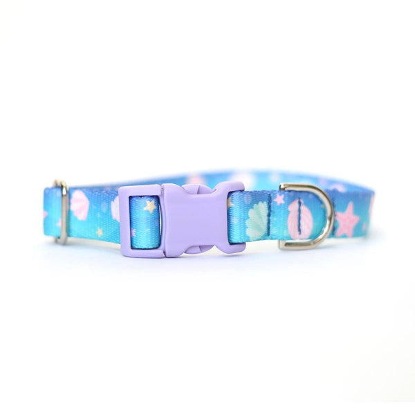 Beach Babe Dog Collar - Clive and Bacon