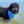 Load image into Gallery viewer, Beaches Love Me Dog Bandana - Clive and Bacon
