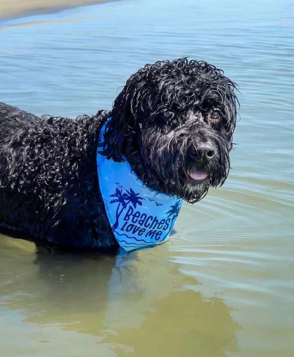 Beaches Love Me Dog Bandana - Clive and Bacon