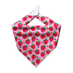 Berry Cute Cooling Dog Bandana - Clive and Bacon