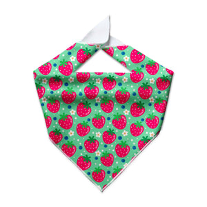 Berry Cute Cooling Dog Bandana - Clive and Bacon