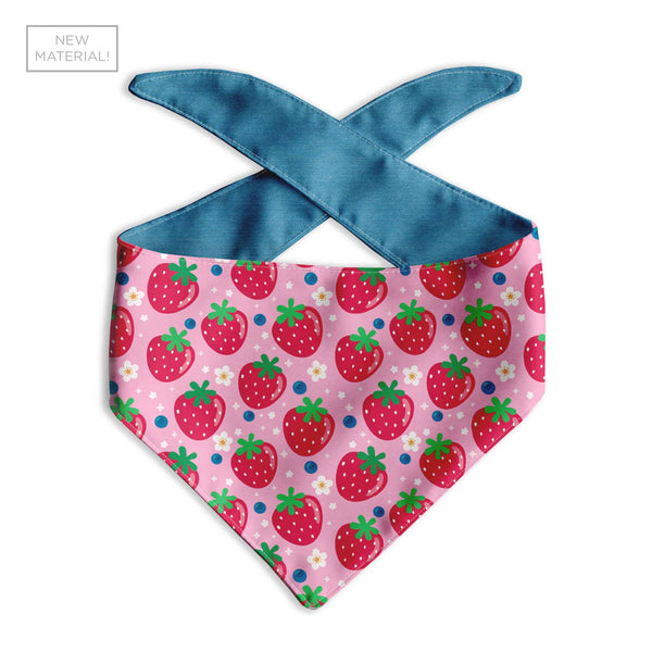 Berry Cute Dog Bandana - Clive and Bacon