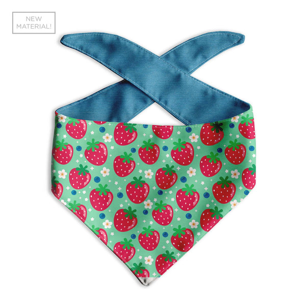 Berry Cute Dog Bandana - Clive and Bacon