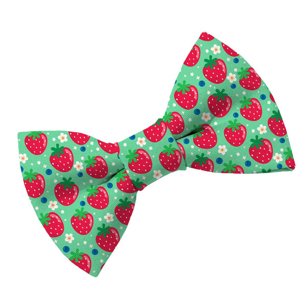 Berry Cute Dog Bow Tie - Clive and Bacon