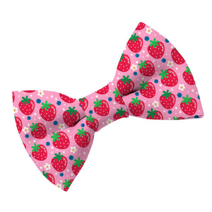 Berry Cute Dog Bow Tie - Clive and Bacon