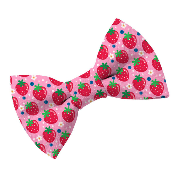 Berry Cute Dog Bow Tie - Clive and Bacon