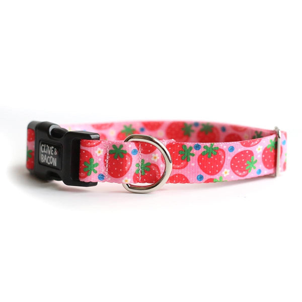 Berry Cute Dog Collar - Clive and Bacon