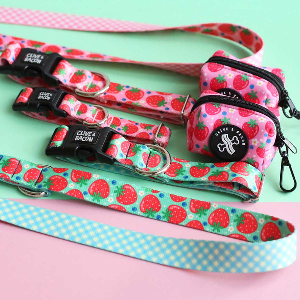 Berry Cute Dog Collar - Clive and Bacon