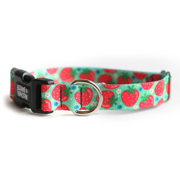Berry Cute Dog Collar - Clive and Bacon
