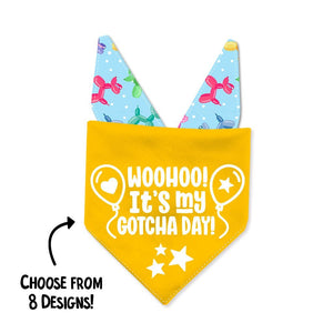 Blue Balloon Pup Dog Bandana - Clive and Bacon