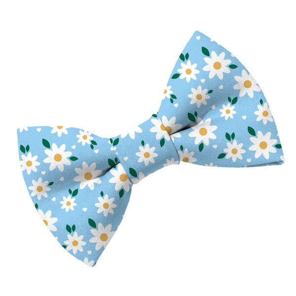 Blue Daisy Dog Bow Tie - Clive and Bacon