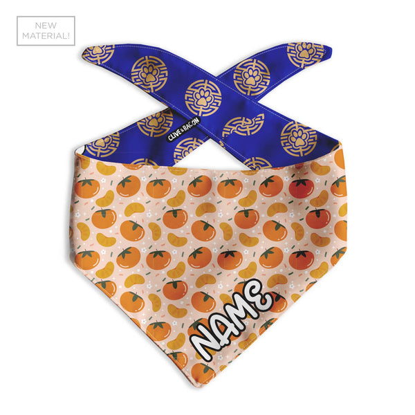 Blue Lunar Outfit Dog Bandana - Clive and Bacon