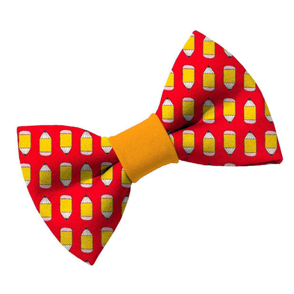 Book Worm Dog Bow Tie - Clive and Bacon