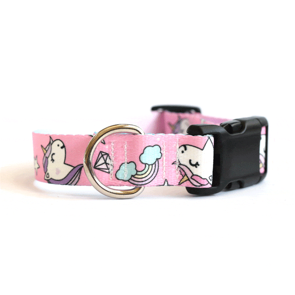 Bubblegum Pink Unicorn Dog Collar - Clive and Bacon