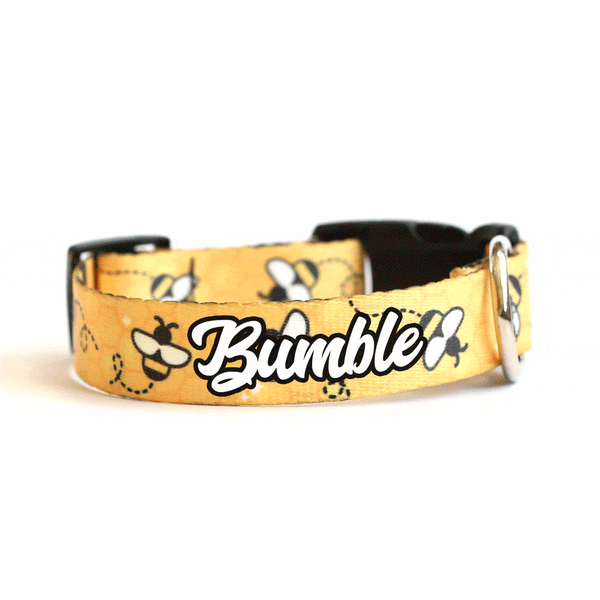 Bumblebee Dog Collar - Clive and Bacon