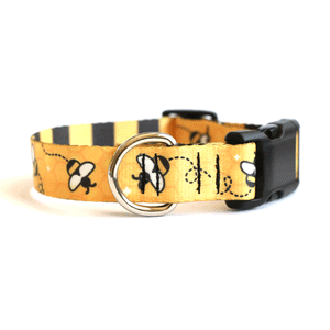 Bumblebee Dog Collar - Clive and Bacon