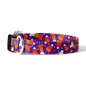 Candy Corn Dog Collar - Clive and Bacon