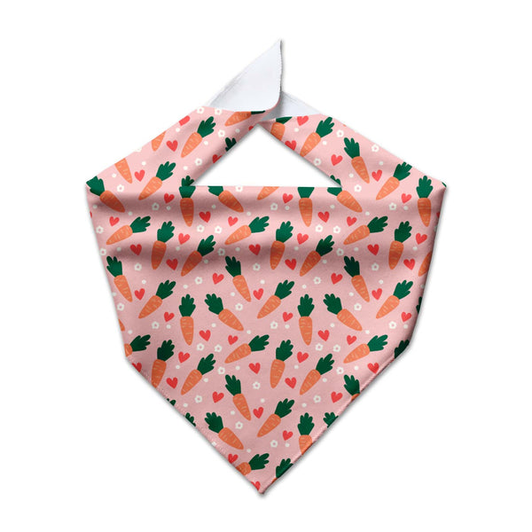 Carrots Cooling Dog Bandana | 2 Colors - Clive and Bacon