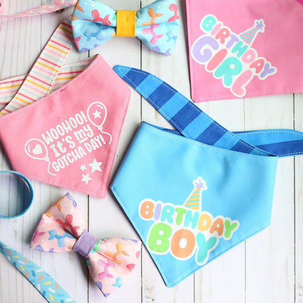 Celebration Dog Bandana Pink - Clive and Bacon
