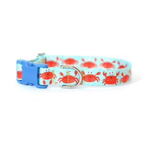 Clawsome Crab Dog Collar | Aqua - Clive and Bacon